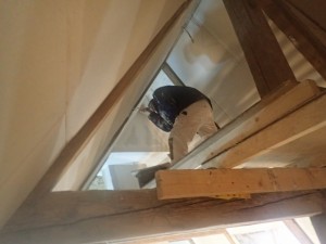Lerpuds 3_800x600